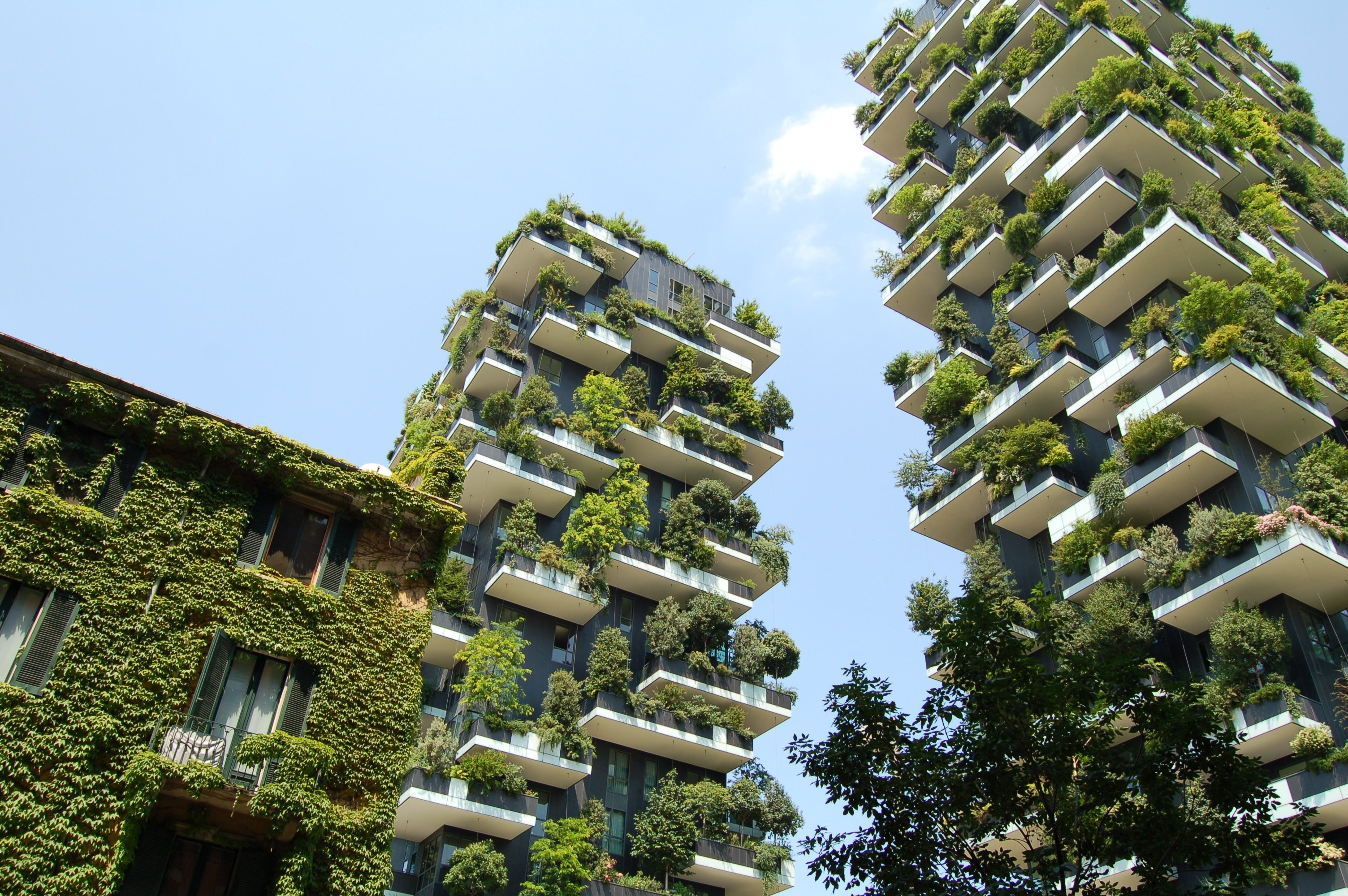 Edificios sustentables en el mundo, arquitectura verde