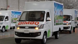 bimbo