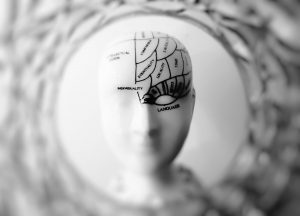 cerebro esquizofrenia