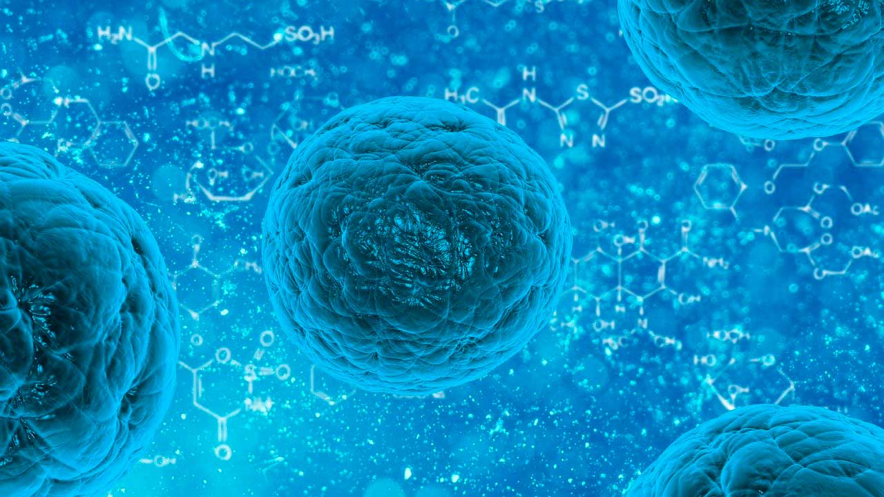 UNAM diseña partículas que funcionan como vacuna contra el cáncer