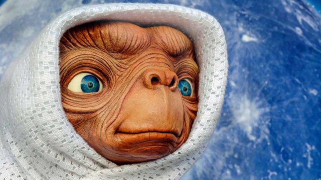 ET y 'su familia' se reencuentran 40 años después • Actualidad • Forbes  México