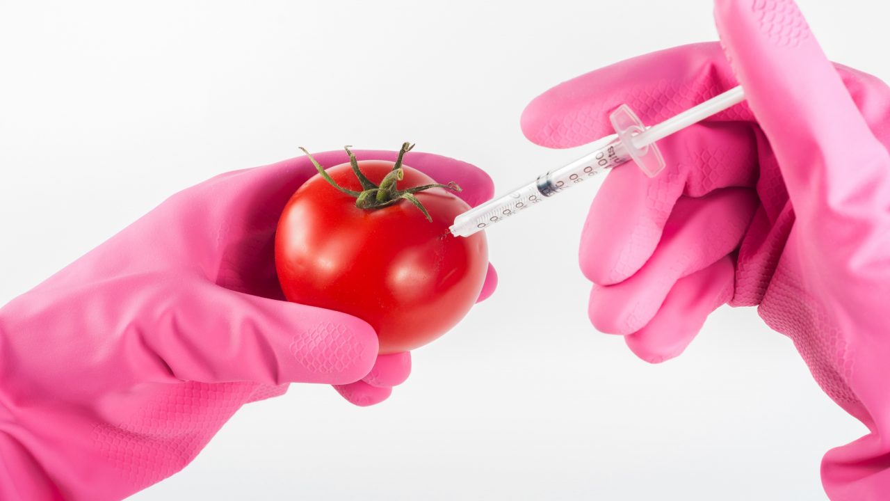 Mujeres en biotecnología: análisis de la disparidad de género Norteamérica y Latinoamérica