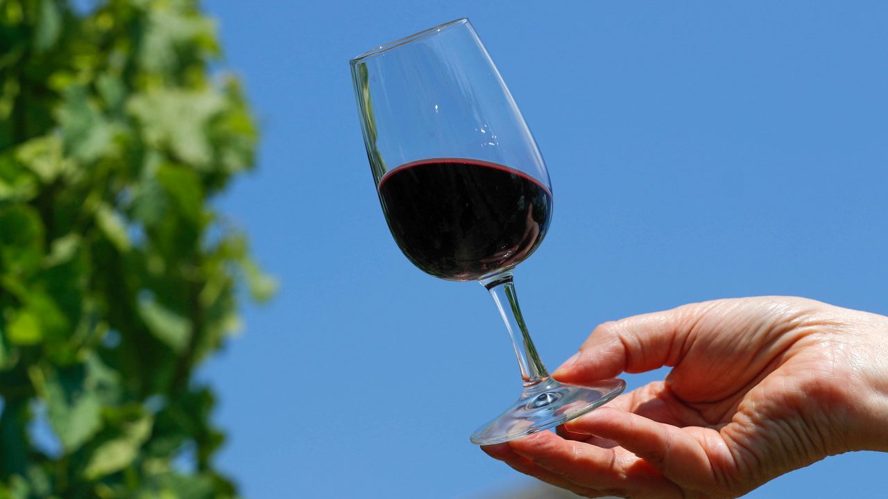 ¿Vino para 1? Esta empresa te vende solo 2 copas para llevar