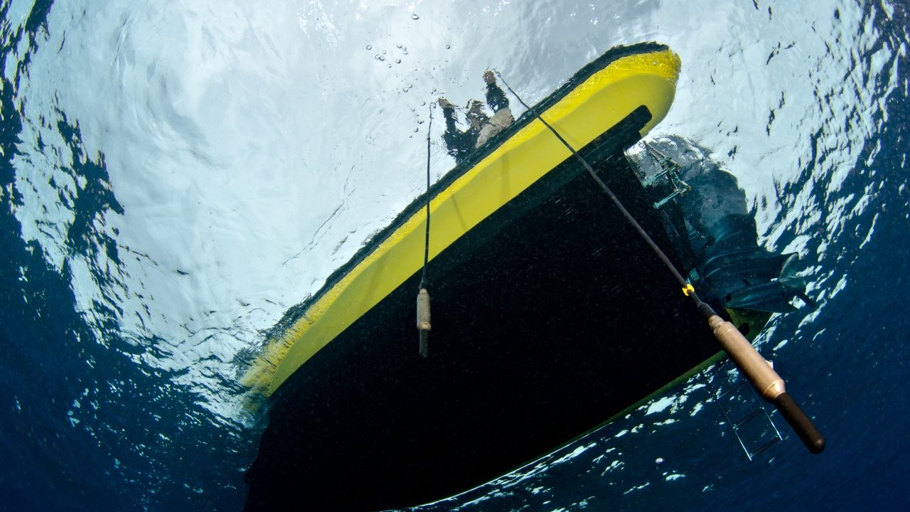 ‘The Art of Listening: Under Water’, la voz del mar al descubierto
