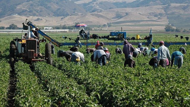 producción agrícola Latinoamérica