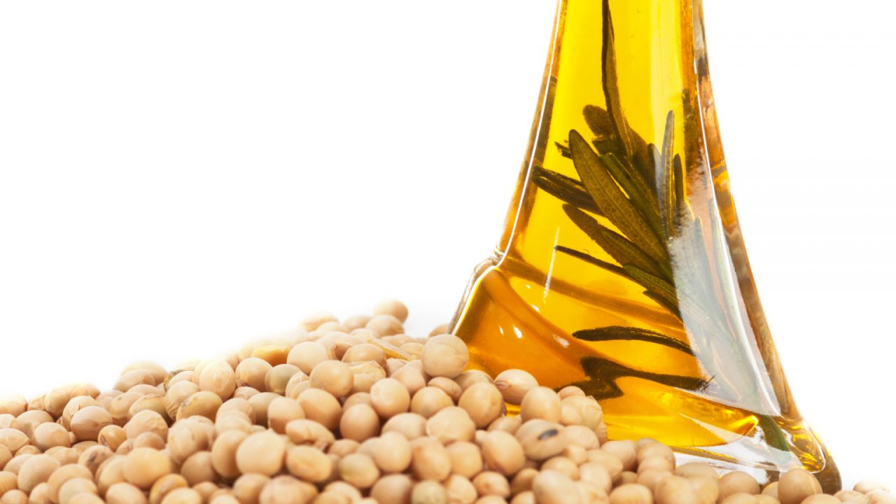 Aceite de soya no es saludable en humanos: estudio