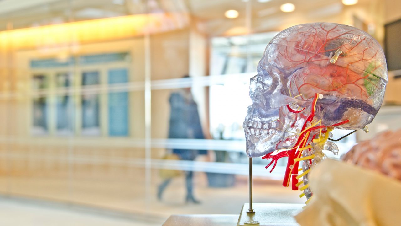 ¿Escuchas a tu oído? Inteligencia Artificial aplicada a la salud auditiva