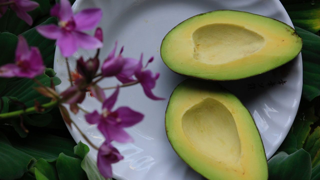 México superará exportaciones de aguacate a EU por Super Bowl