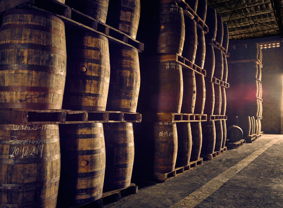 ¿Un mundo sin vino? Calentamiento global afectaría producción vinícola hasta un 90%