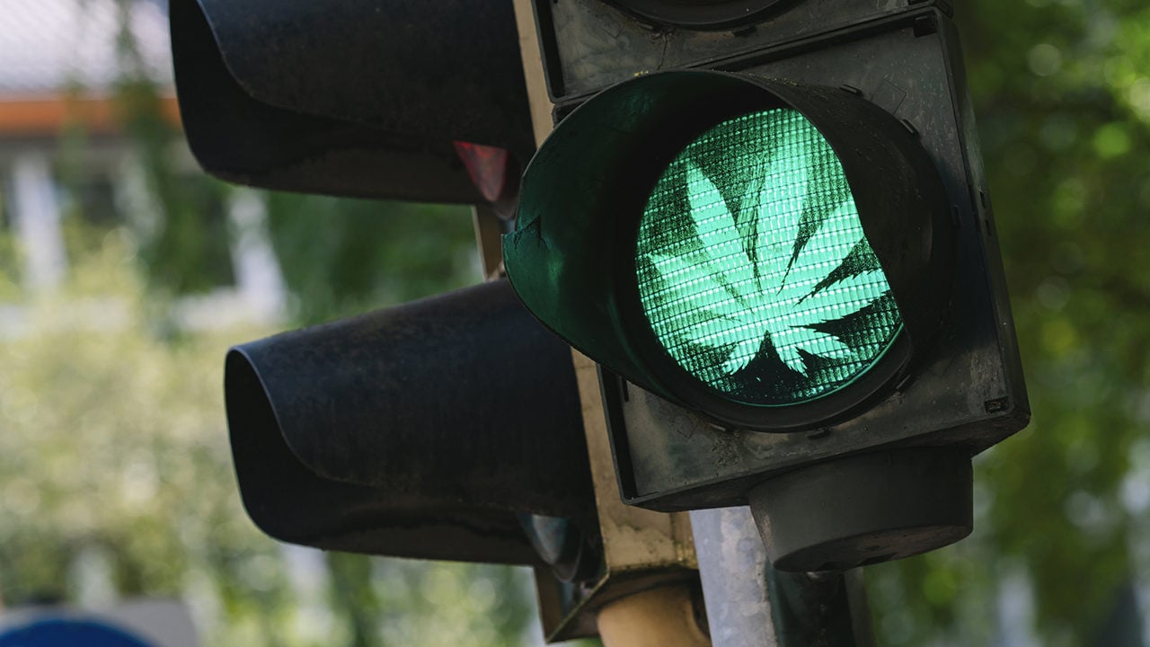 Avances en la regulación del cannabis en los EU