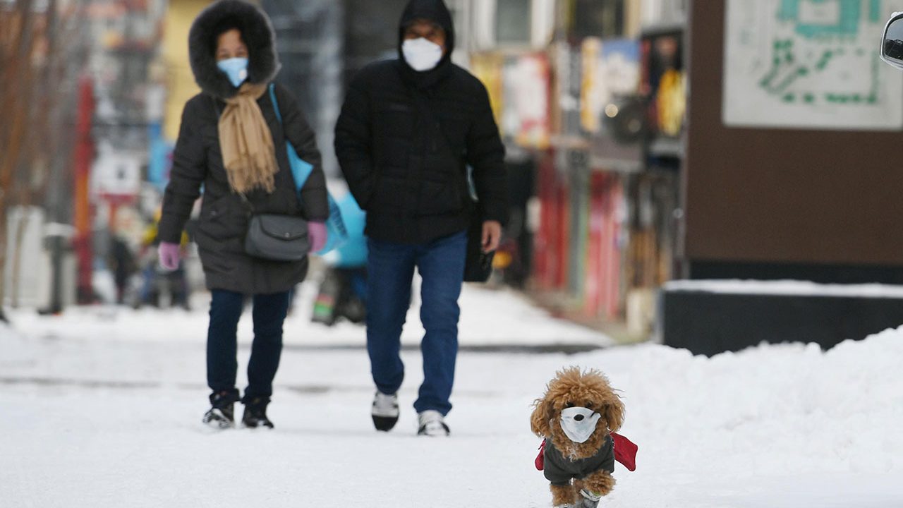 Avance de coronavirus empieza a ceder en Asia: López-Gatell