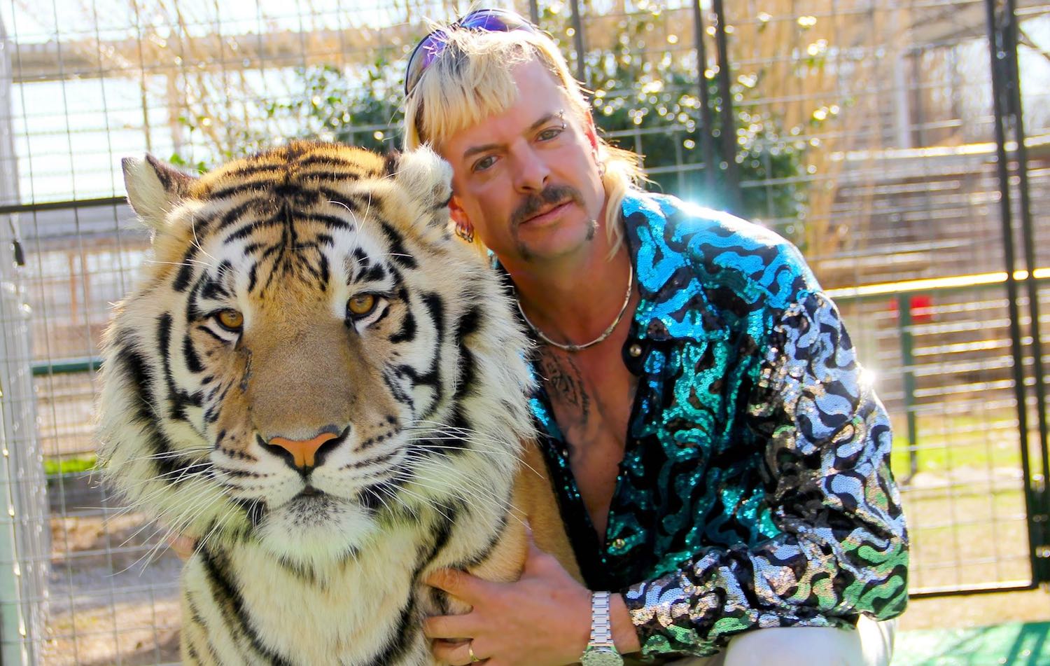 Tiger king Netflix docuserie criminal