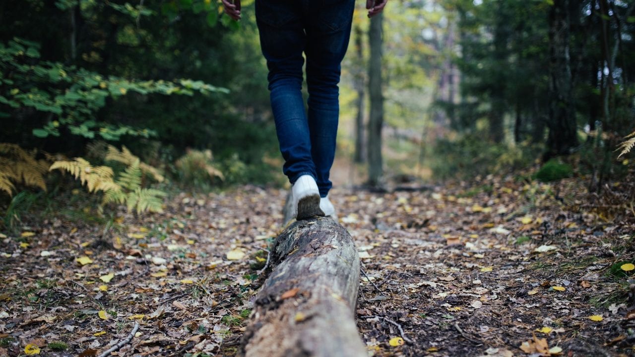 El estrés financiero y el ikigai