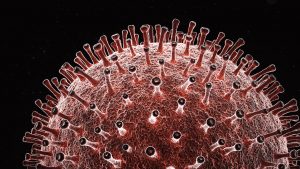 Coronavirus estructura
