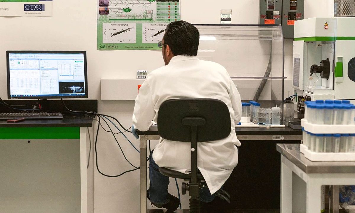 UNAM avanza en su modelo animal para crear vacuna contra Covid-19