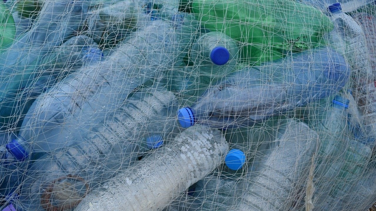 Lo que sabemos del reciclaje