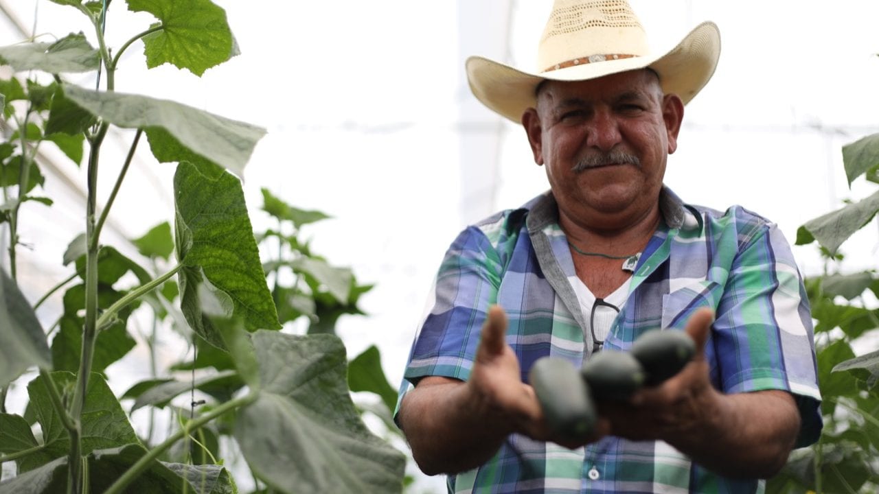 Buscan rescatar 2,700 toneladas de alimentos orgánicos  en peligro por Covid-19