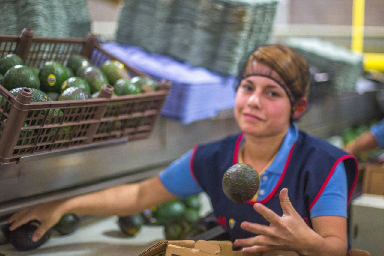 México desarrolla plan de diversificación de mercados agroalimentarios: Sader