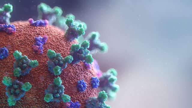 SARS-CoV-2 mutaciones antiviral