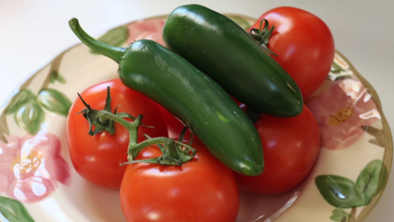 EU pondrá la lupa en exportación de chile y tomate por trabajo forzoso o infantil