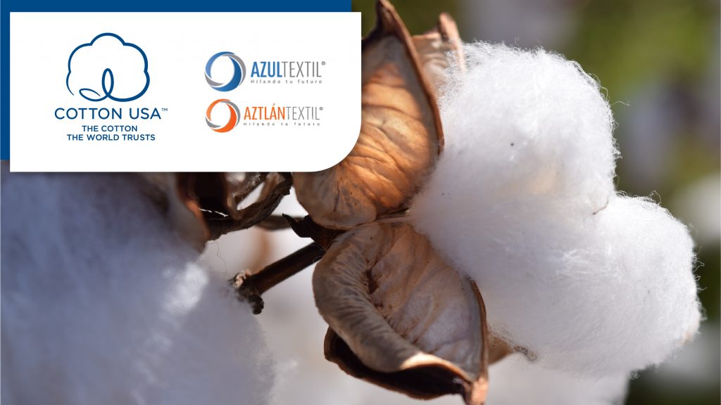 us cotton