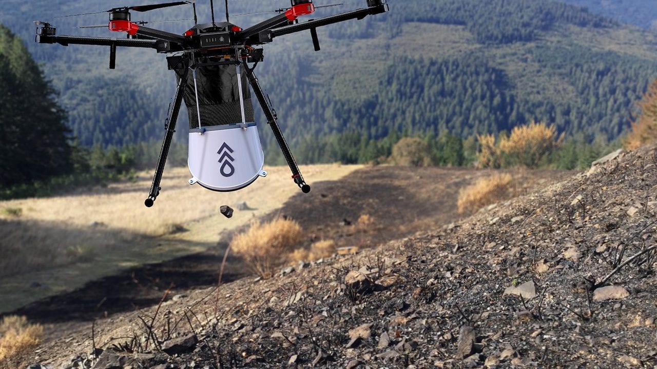 Estos drones son el ‘arma secreta’ contra la deforestación del planeta