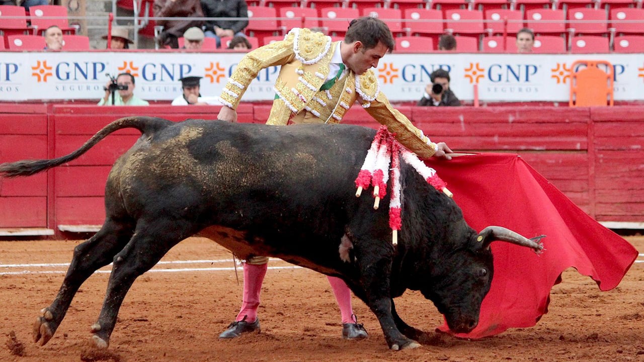 Juez federal suspende provisionalmente las corridas de toros en la Plaza México