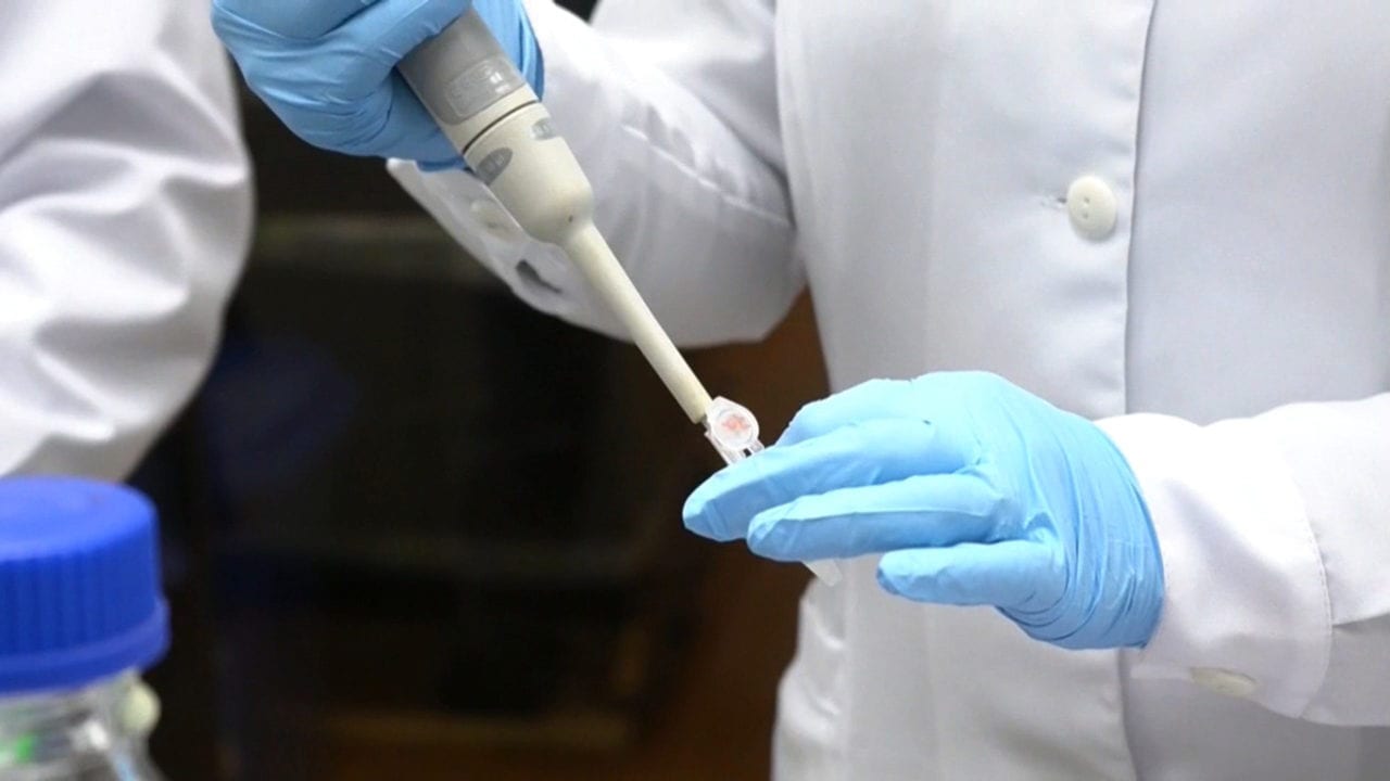 Uno de cada 5 test en Francia da positivo por coronavirus