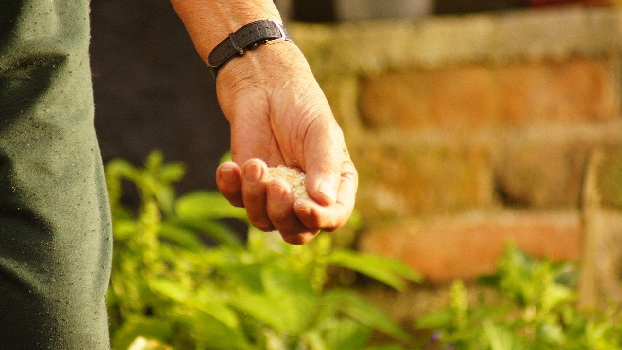 La agricultura del futuro: coséchelo usted mismo