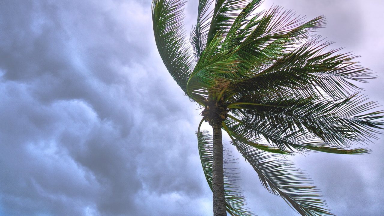 Lisa se degrada a tormenta tropical en el sureste con fuertes lluvias