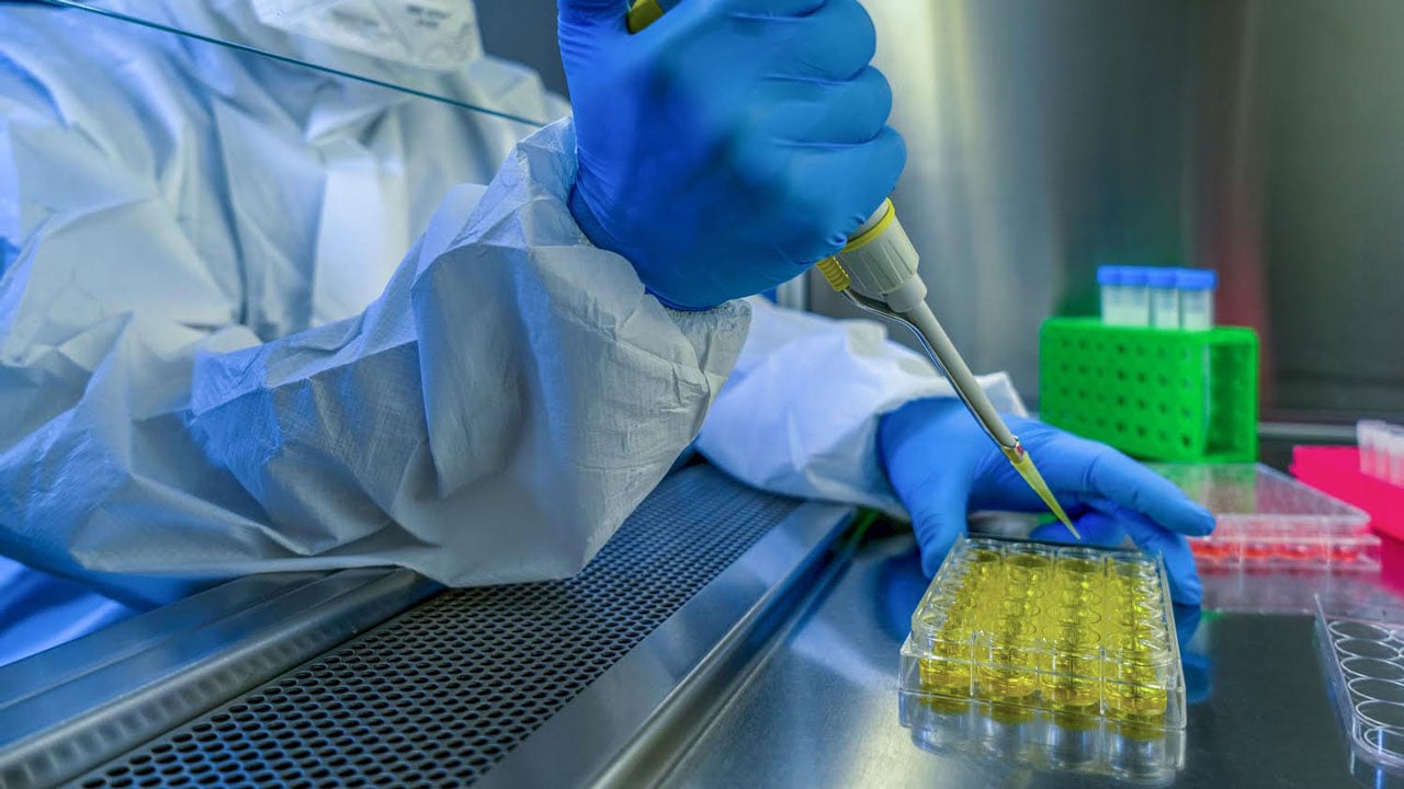 Suiza y OMS crearán depósito mundial de coronavirus para su estudio