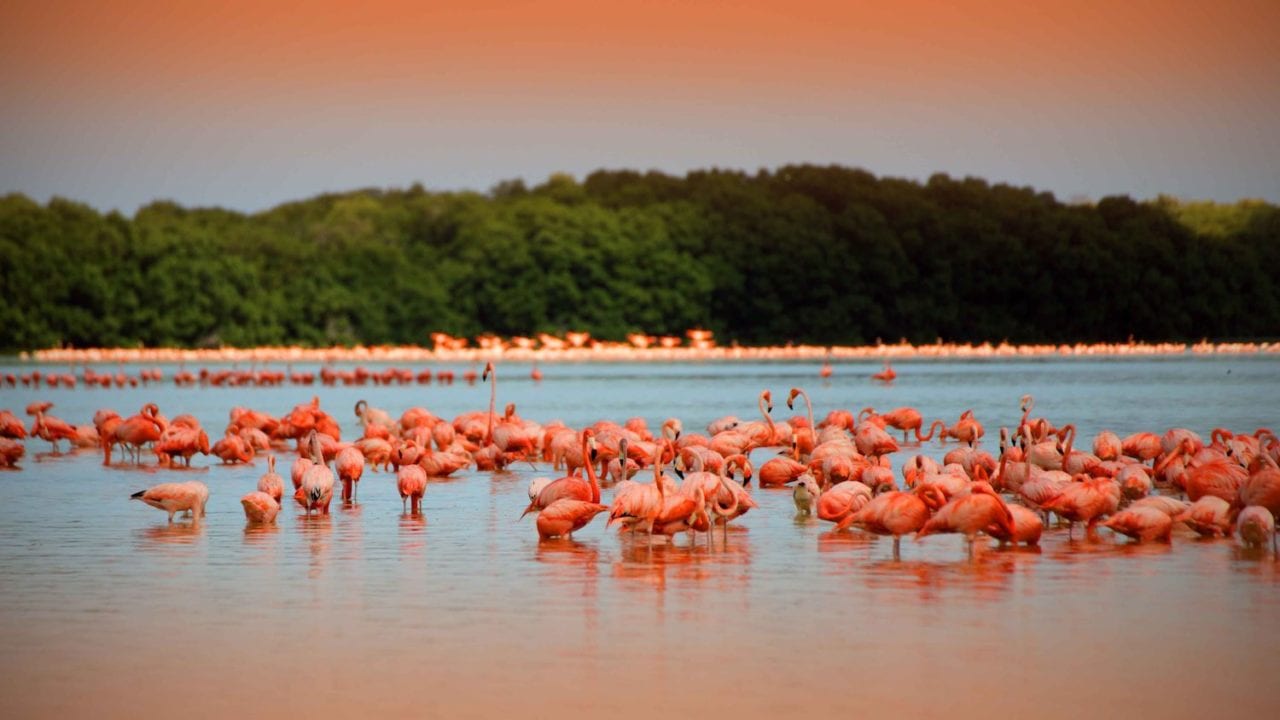 Tres tesoros de Yucatán para enamorarte a primera vista