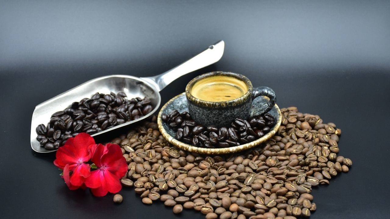 Reporte Regional | Café Pluma, un distintivo de altura