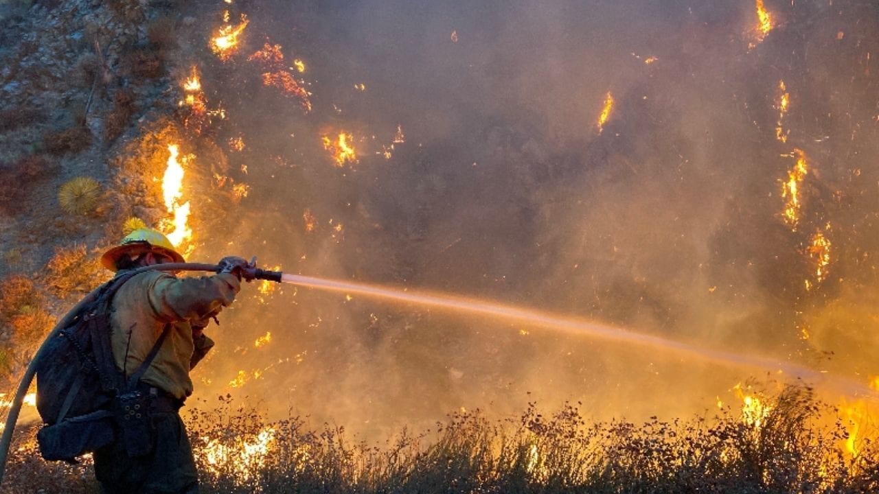 Bomberos mexicanos viajan a California para combatir los incendios forestales