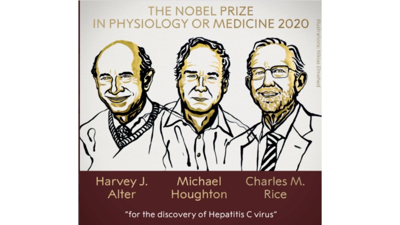 Nobel de Medicina para tres virólogos que descubrieron virus de hepatitis C