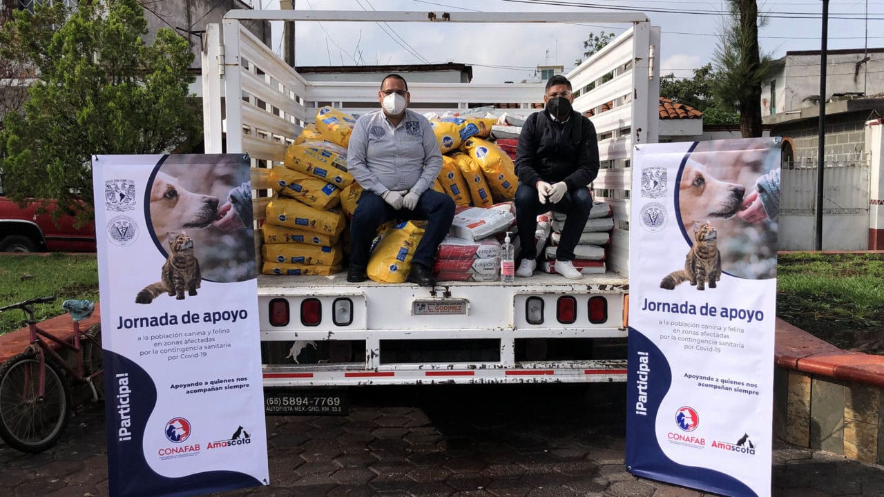 UNAM dona 33 toneladas de alimento para perros y gatos en la CDMX