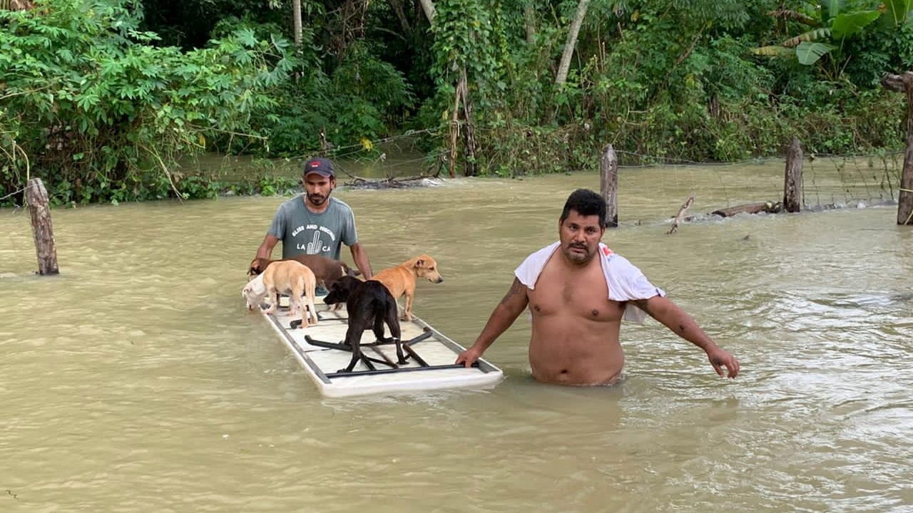 Fotogalería: Tabasco inundado mientras Bartlett y gobernador reparten culpas