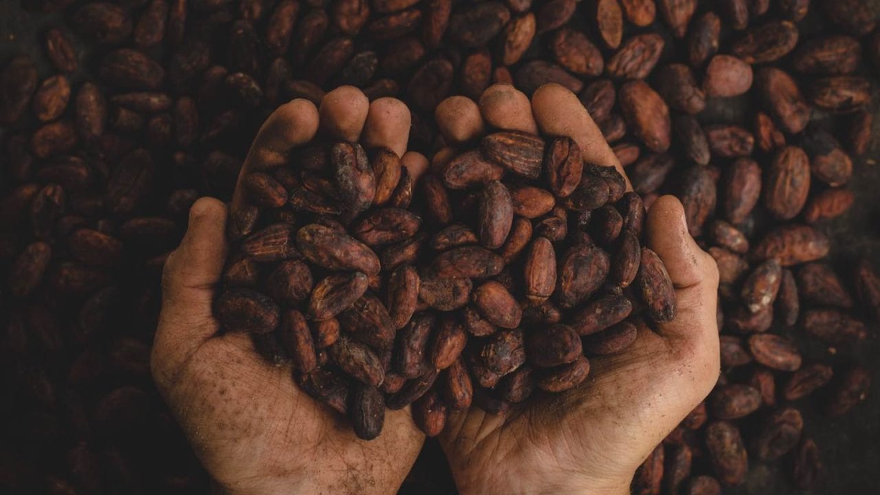 Mezcal y chocolate: el místico maridaje sensitivo que conquista