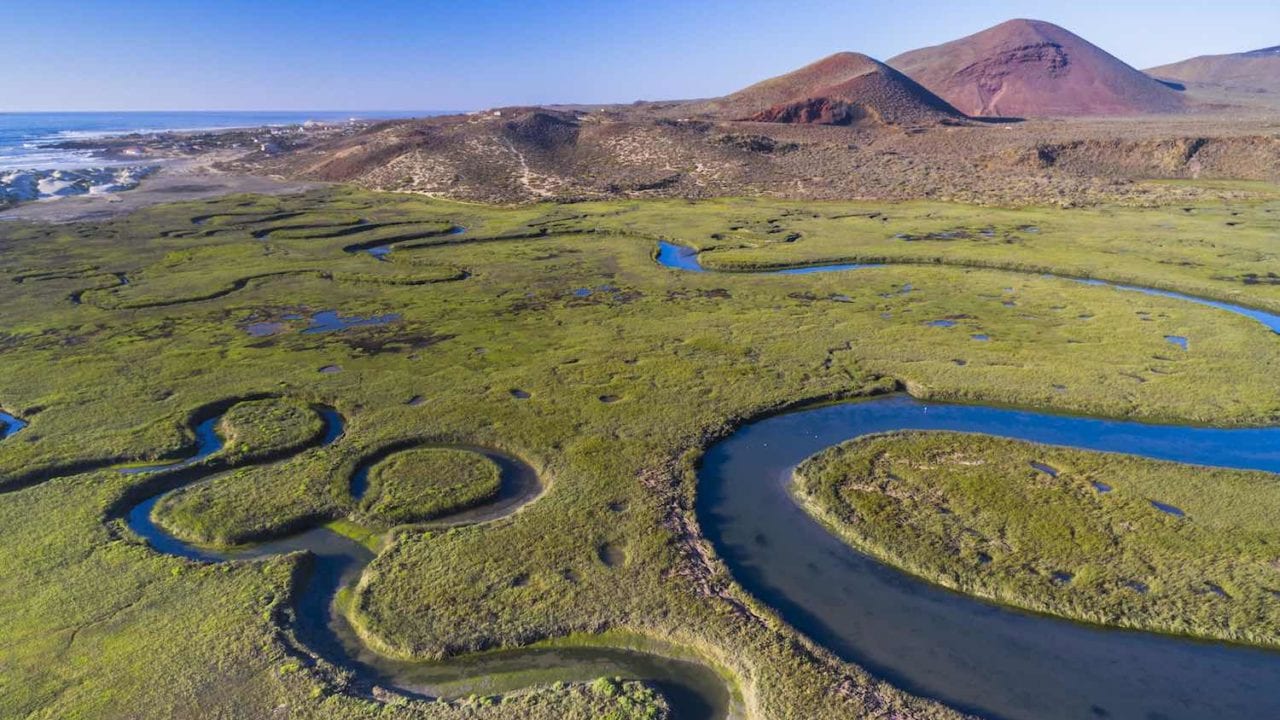 El mundo corre el riesgo de sufrir pérdidas económicas de hasta 39 bdd por desaparición de humedales