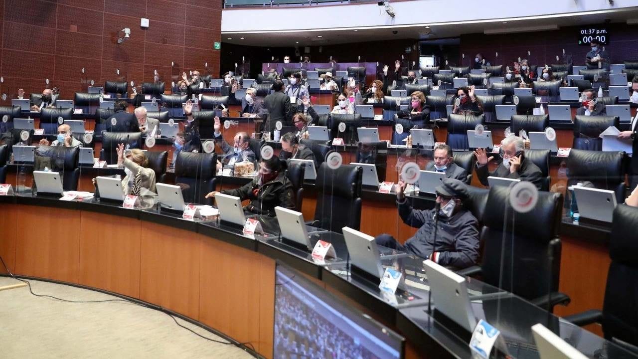 Senado discutirá ley del cannabis y prohibición del matrimonio infantil este mismo mes