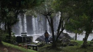 Baño de bosque japonés Kohler ecosistemas latinoamericano