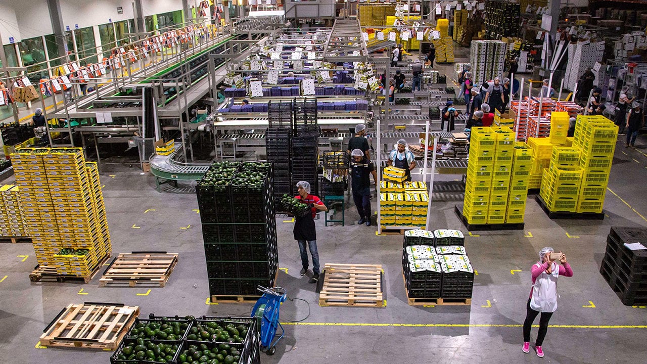 Populismo, nacionalismo y desglobalización afectan al sector agroalimentario: CNA