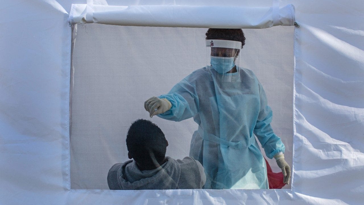 Brotes de ántrax en África resultan en 1,100 casos y 20 fallecimientos durante el año: OMS
