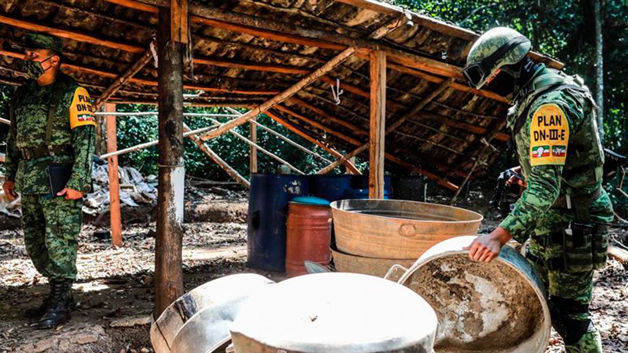 Destruyen el primer plantío de coca en el estado de Guerrero