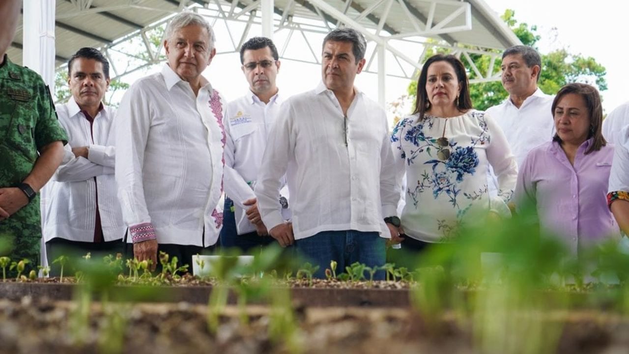 AMLO beca a 11,184 jóvenes y sembradores en Honduras y El Salvador
