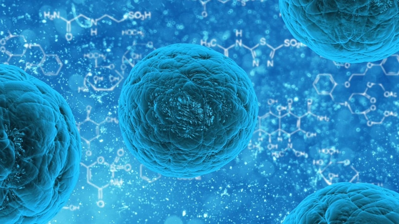 Trasplante de células madre antes de la inmunoterapia es clave en el cáncer infantil