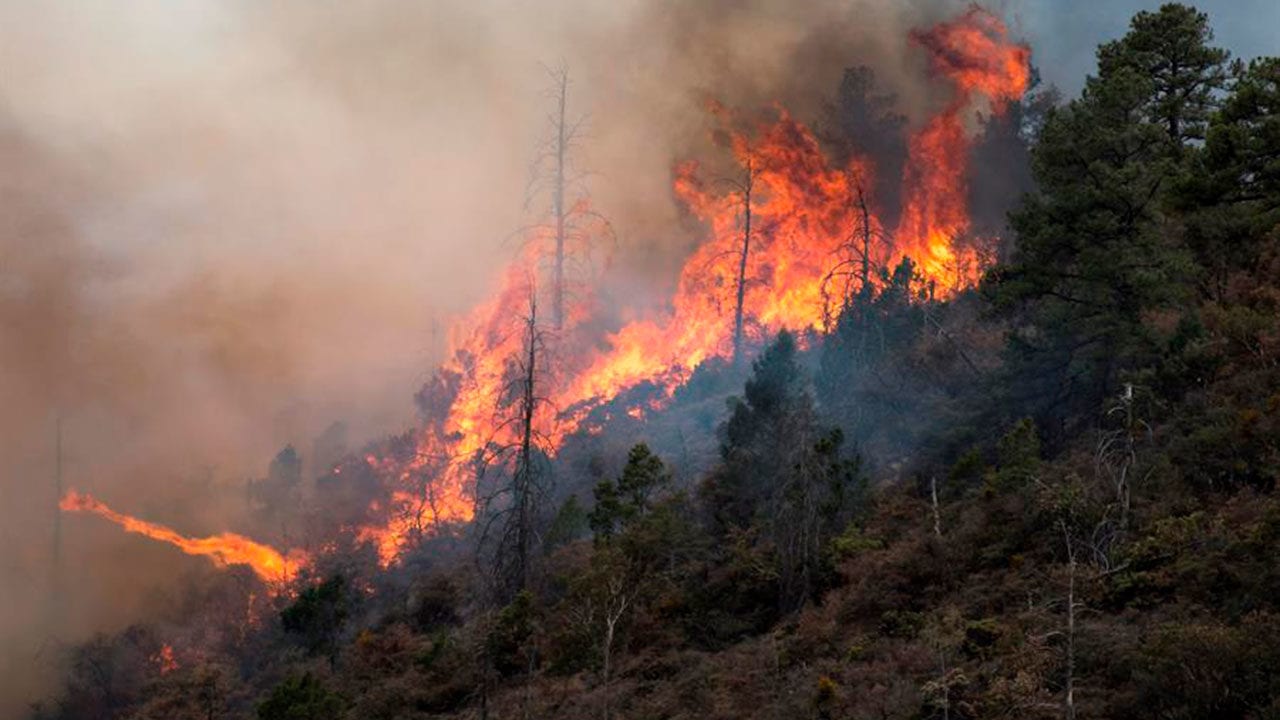 América registró incendios forestales especialmente intensos en 2024: Copernicus