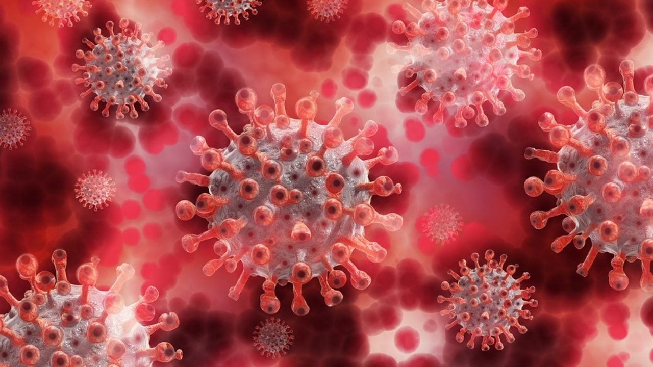 Reino Unido se alerta por nueva variante de coronavirus y veta vuelos de 6 países africanos