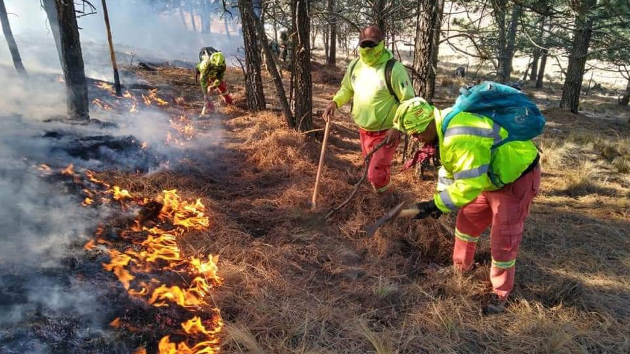 Incendio ha afectado 7,000 hectáreas en Coahuila y Nuevo León