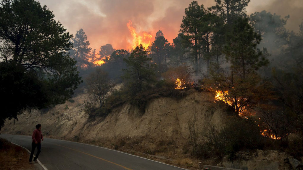 incendios-forestales-emisiones-Latinoamérica